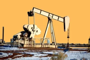 Vaca Muerta : Ecosistema Productivo